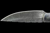 Damascus Knife With Fossil Dinosaur Bone (Gembone) Inlays #86542-1
